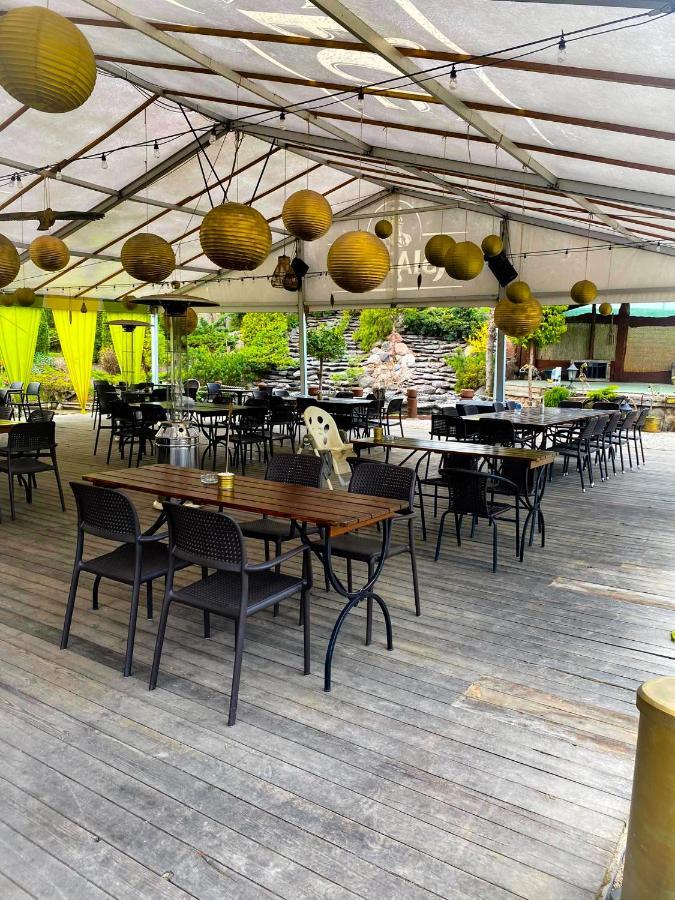 Kaktusik Hotel Augustów Eksteriør billede