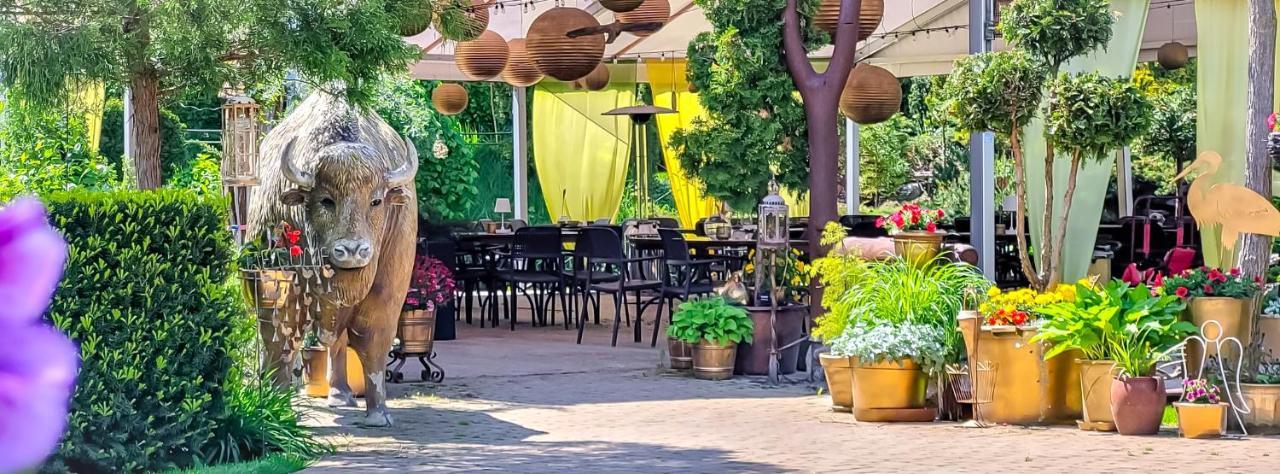 Kaktusik Hotel Augustów Eksteriør billede